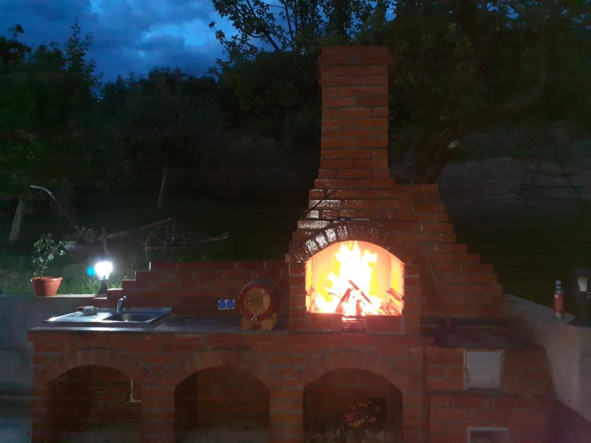 ホテル Casa Alex Curtea de Argeş エクステリア 写真