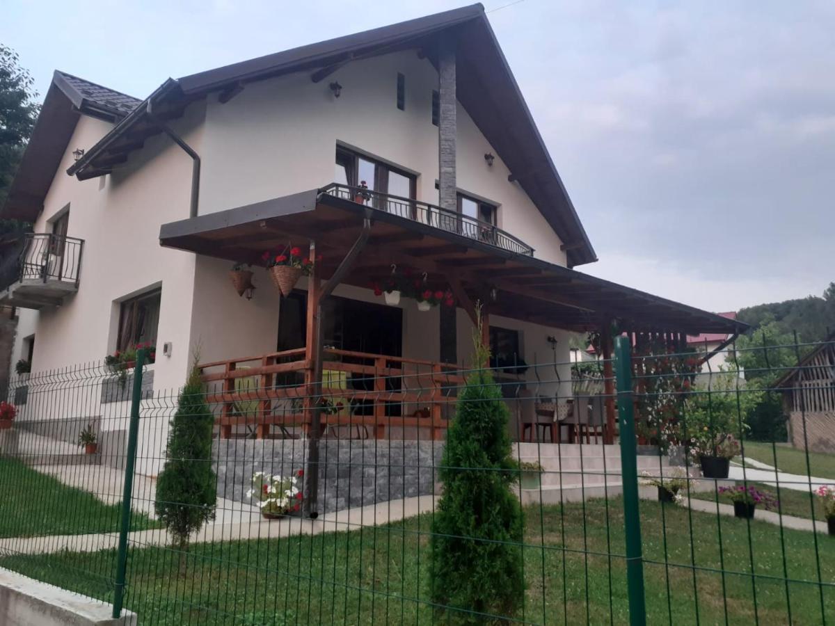 ホテル Casa Alex Curtea de Argeş エクステリア 写真