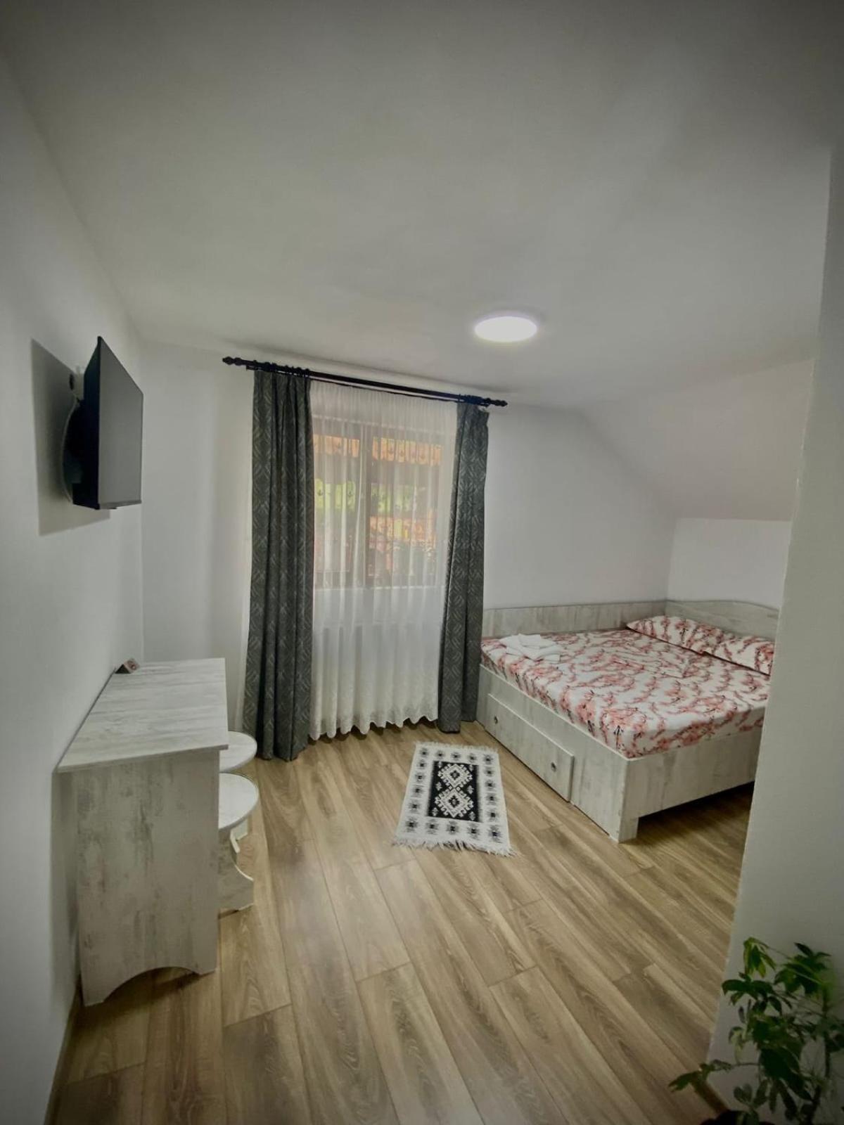 ホテル Casa Alex Curtea de Argeş エクステリア 写真