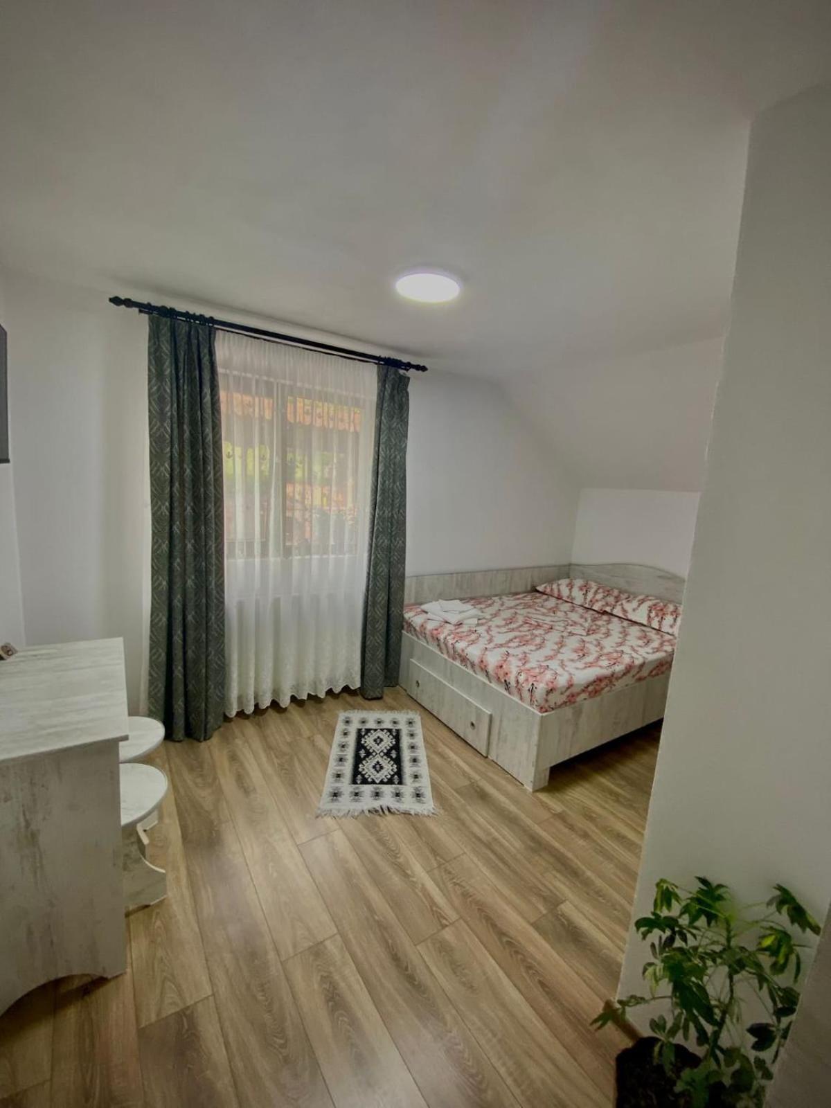 ホテル Casa Alex Curtea de Argeş エクステリア 写真