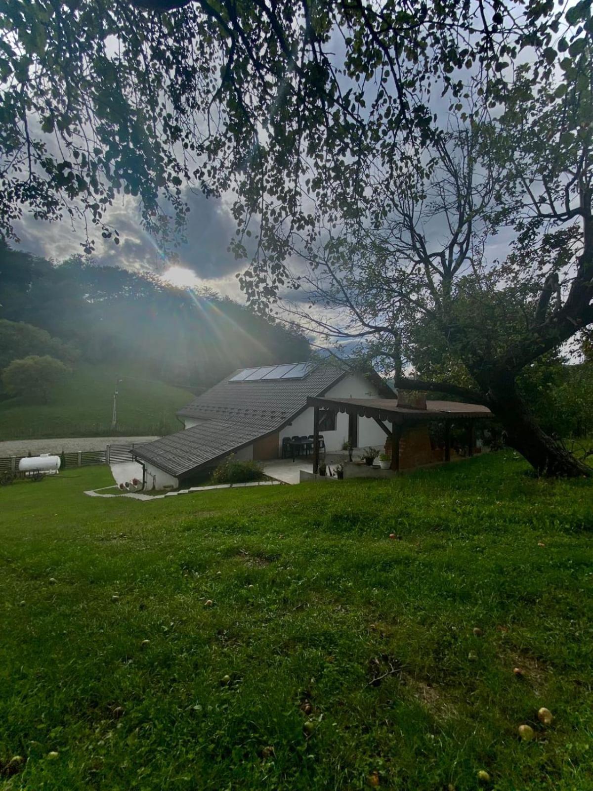 ホテル Casa Alex Curtea de Argeş エクステリア 写真